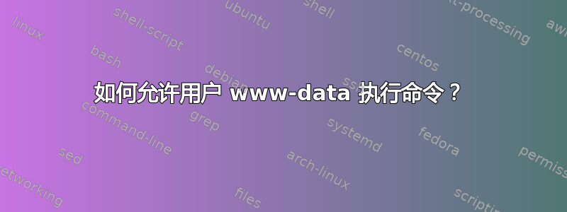 如何允许用户 www-data 执行命令？