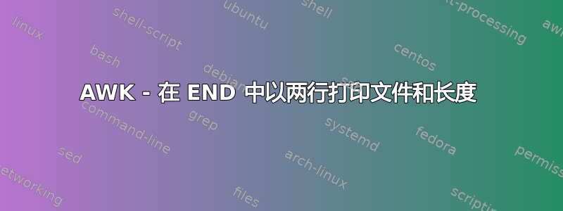 AWK - 在 END 中以两行打印文件和长度