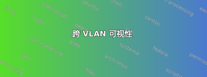 跨 VLAN 可视性