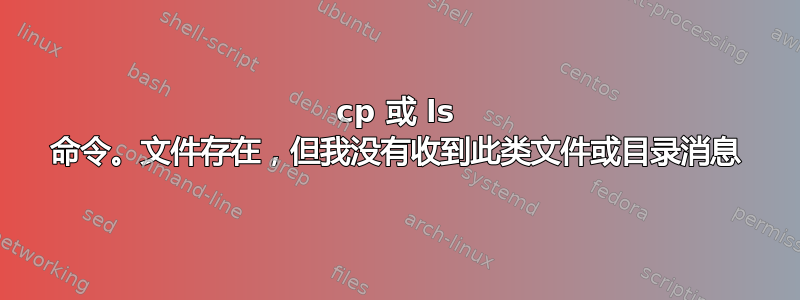 cp 或 ls 命令。文件存在，但我没有收到此类文件或目录消息