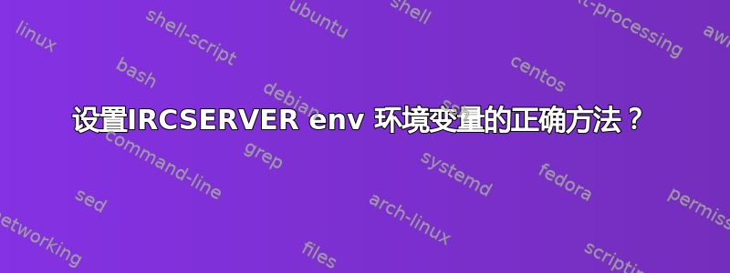 设置IRCSERVER env 环境变量的正确方法？