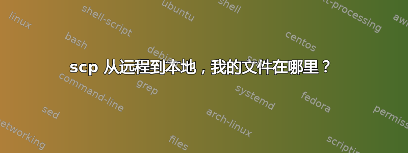 scp 从远程到本地，我的文件在哪里？