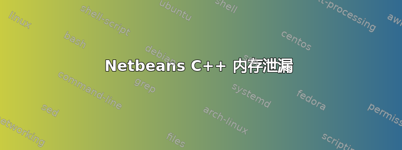 Netbeans C++ 内存泄漏