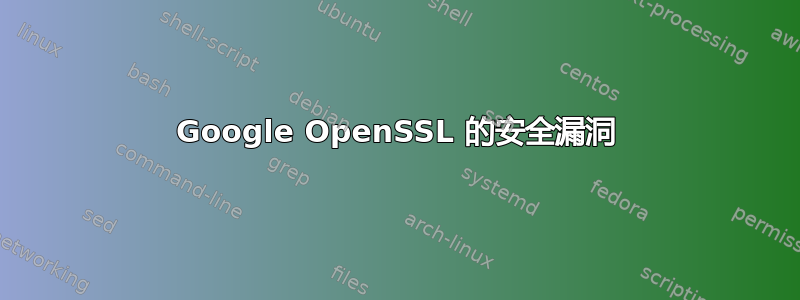 Google OpenSSL 的安全漏洞