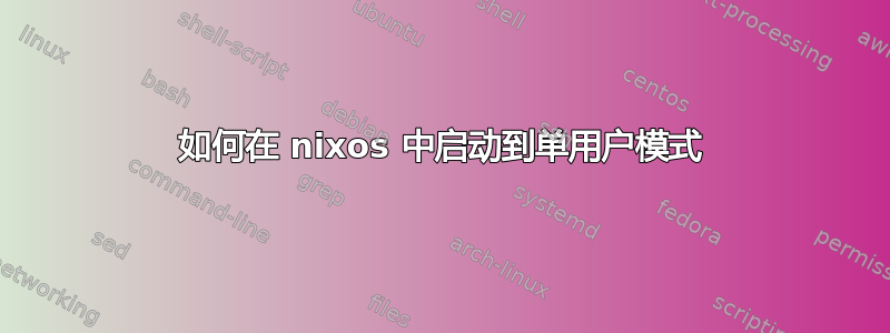 如何在 nixos 中启动到单用户模式