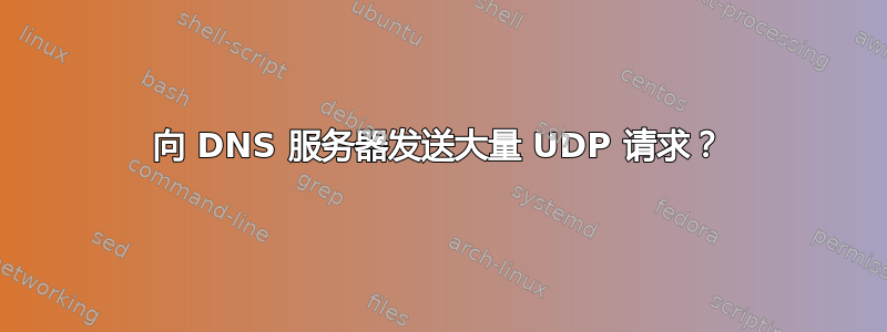 向 DNS 服务器发送大量 UDP 请求？