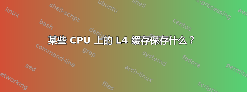 某些 CPU 上的 L4 缓存保存什么？
