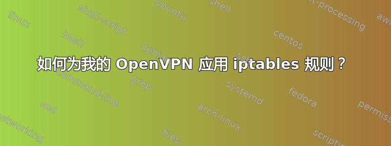 如何为我的 OpenVPN 应用 iptables 规则？