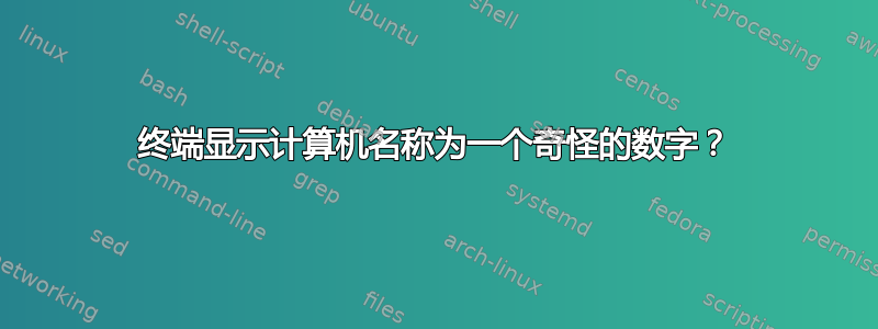 终端显示计算机名称为一个奇怪的数字？