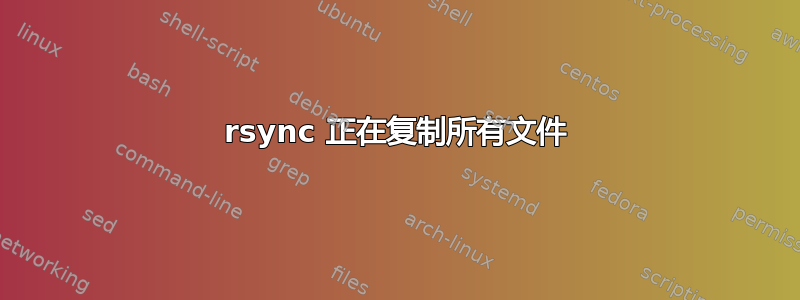 rsync 正在复制所有文件