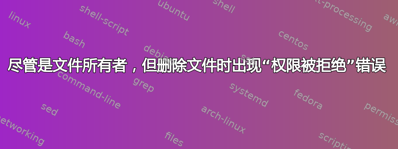 尽管是文件所有者，但删除文件时出现“权限被拒绝”错误