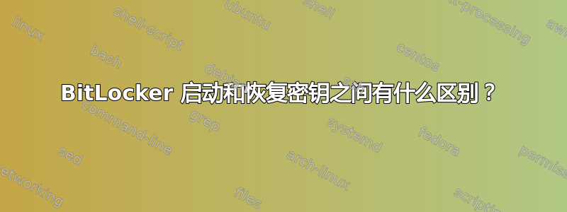 BitLocker 启动和恢复密钥之间有什么区别？