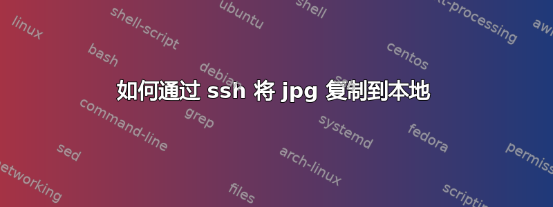 如何通过 ssh 将 jpg 复制到本地