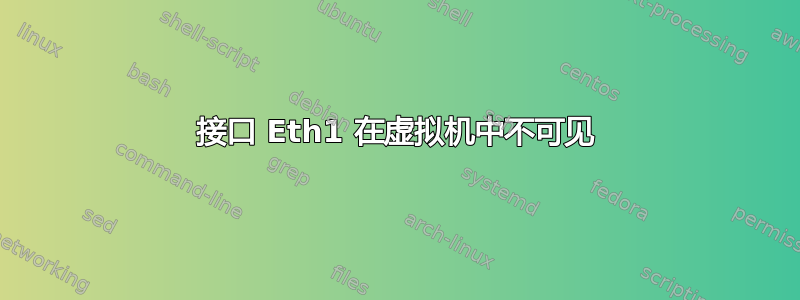 接口 Eth1 在虚拟机中不可见