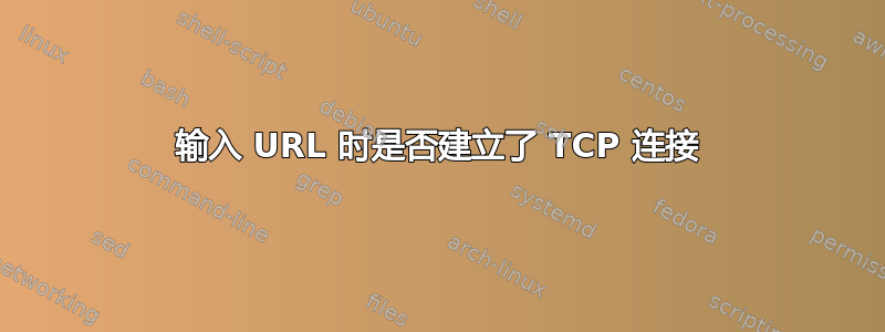 输入 URL 时是否建立了 TCP 连接