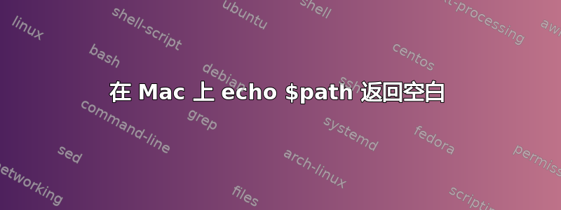 在 Mac 上 echo $path 返回空白