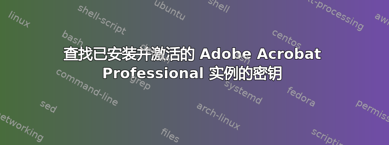 查找已安装并激活的 Adob​​e Acrobat Professional 实例的密钥