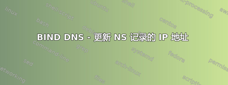 BIND DNS - 更新 NS 记录的 IP 地址