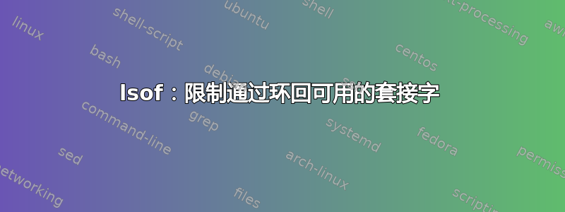 lsof：限制通过环回可用的套接字