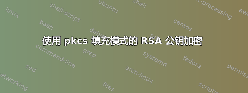 使用 pkcs 填充模式的 RSA 公钥加密