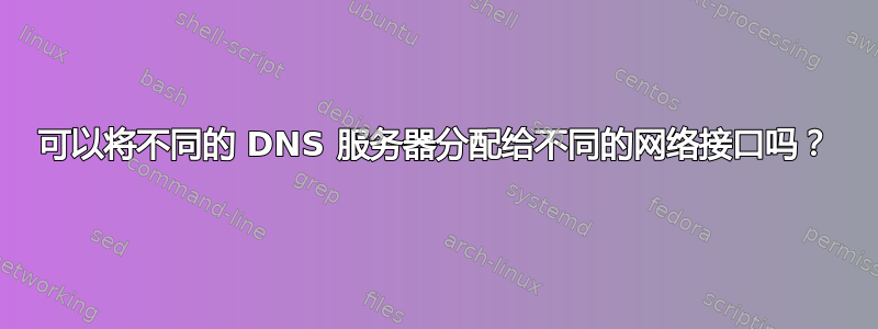 可以将不同的 DNS 服务器分配给不同的网络接口吗？