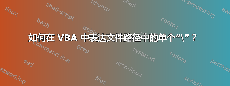 如何在 VBA 中表达文件路径中的单个“\”？