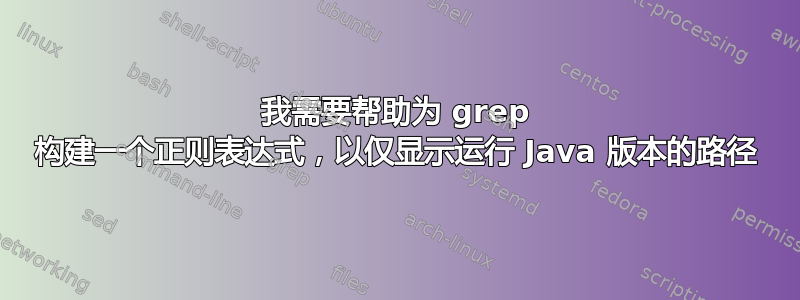 我需要帮助为 grep 构建一个正则表达式，以仅显示运行 Java 版本的路径