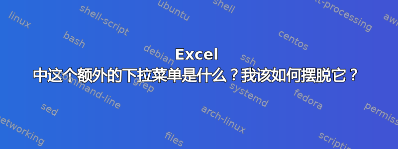 Excel 中这个额外的下拉菜单是什么？我该如何摆脱它？