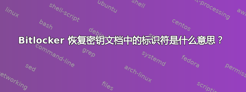 Bitlocker 恢复密钥文档中的标识符是什么意思？