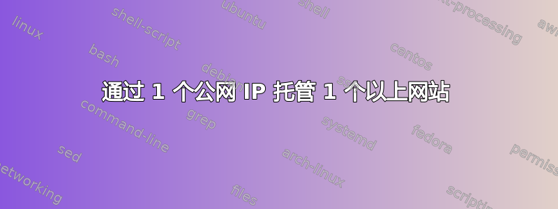 通过 1 个公网 IP 托管 1 个以上网站