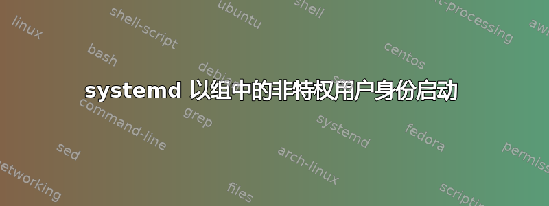 systemd 以组中的非特权用户身份启动