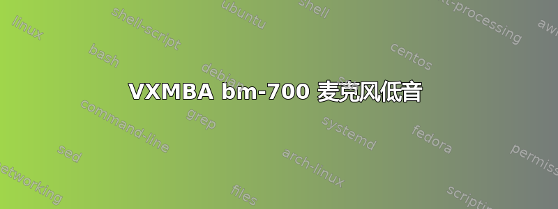 VXMBA bm-700 麦克风低音