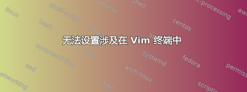 无法设置涉及在 Vim 终端中