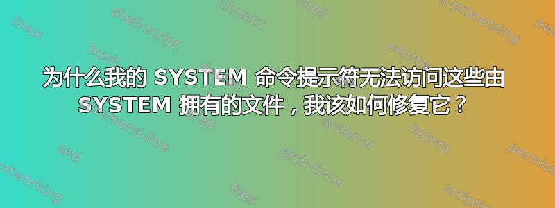 为什么我的 SYSTEM 命令提示符无法访问这些由 SYSTEM 拥有的文件，我该如何修复它？