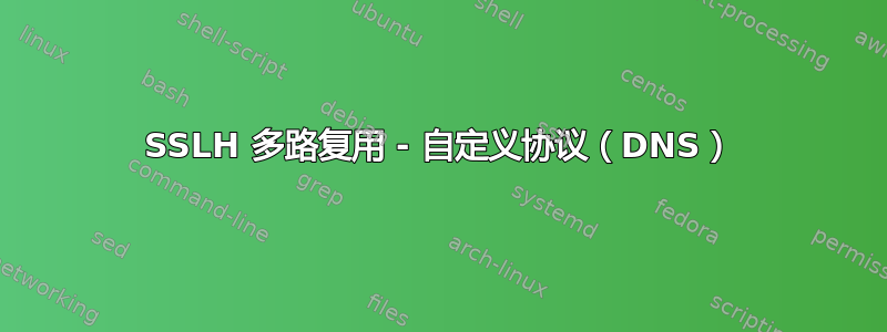 SSLH 多路复用 - 自定义协议（DNS）