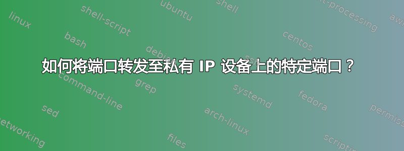 如何将端口转发至私有 IP 设备上的特定端口？