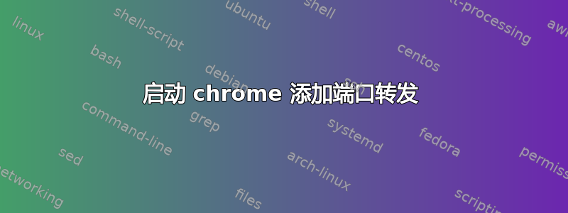 启动 chrome 添加端口转发