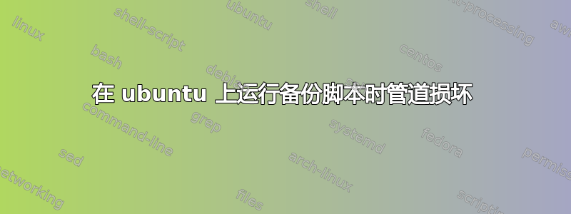 在 ubuntu 上运行备份脚本时管道损坏