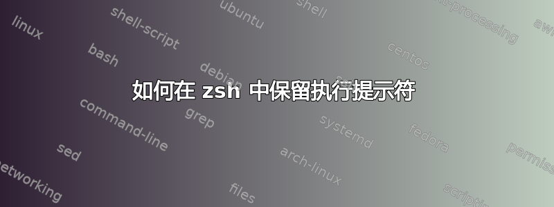 如何在 zsh 中保留执行提示符