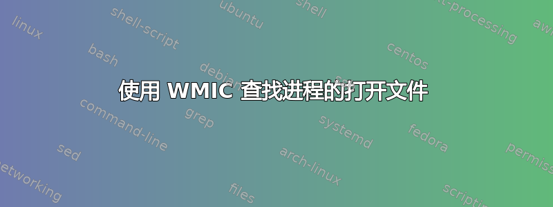 使用 WMIC 查找进程的打开文件