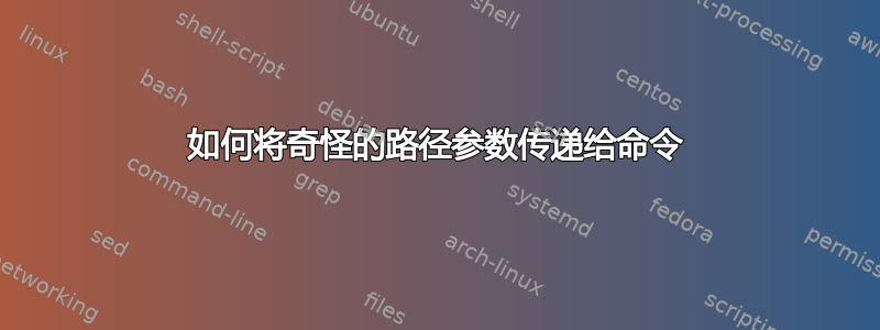 如何将奇怪的路径参数传递给命令