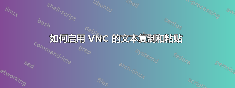 如何启用 VNC 的文本复制和粘贴