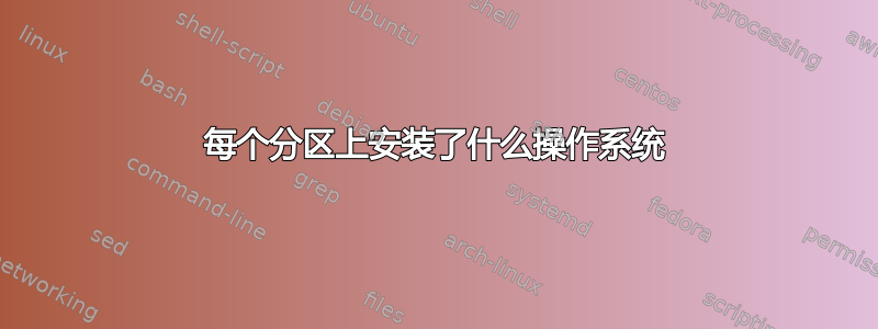 每个分区上安装了什么操作系统