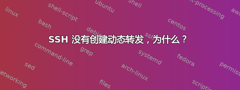 SSH 没有创建动态转发，为什么？