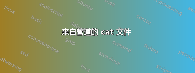 来自管道的 cat 文件