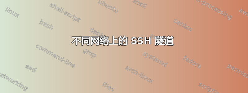 不同网络上的 SSH 隧道