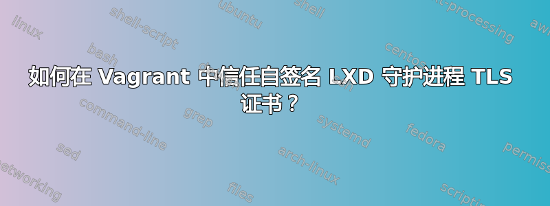 如何在 Vagrant 中信任自签名 LXD 守护进程 TLS 证书？