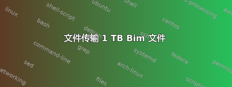 文件传输 1 TB Bim 文件