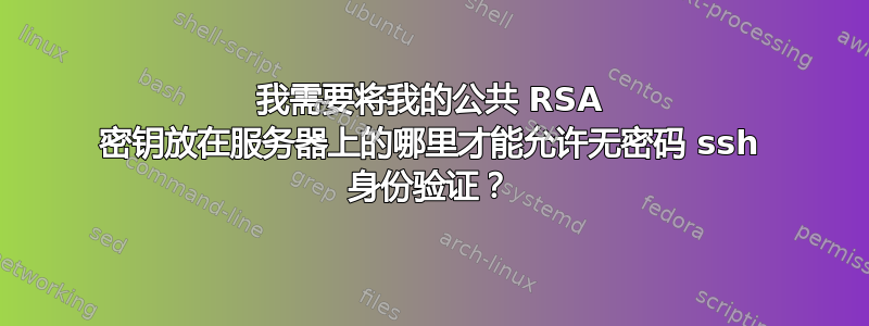 我需要将我的公共 RSA 密钥放在服务器上的哪里才能允许无密码 ssh 身份验证？