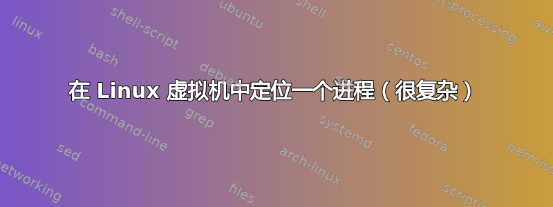 在 Linux 虚拟机中定位一个进程（很复杂）